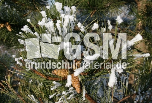 Winterimpressionen 013.jpg